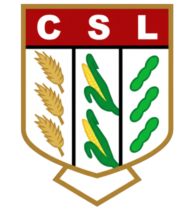 Club Sport San Lorenzo escudo